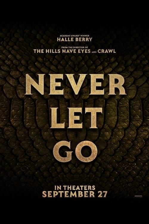 Never Let Go - Cover