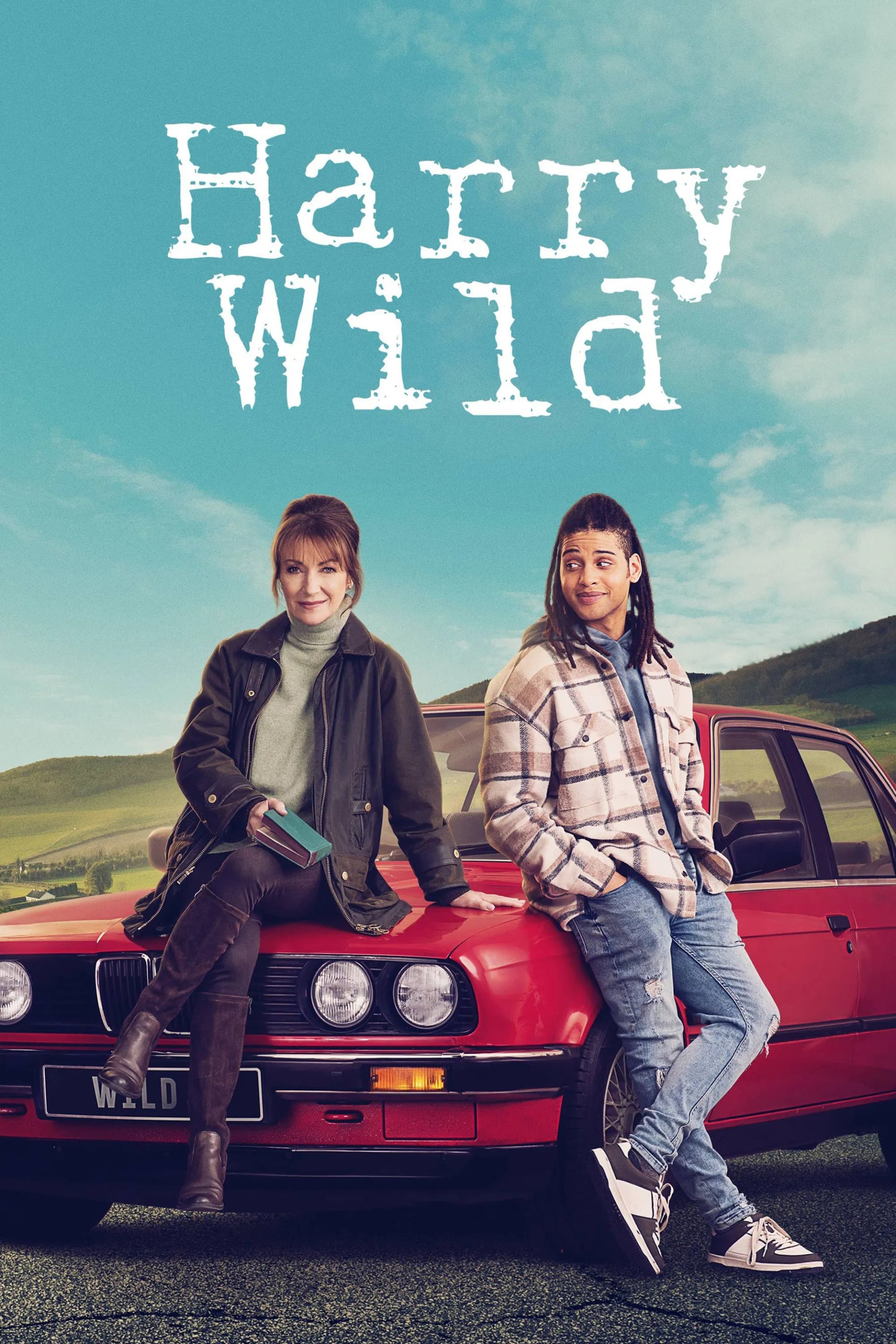 Harry Wild - Cover