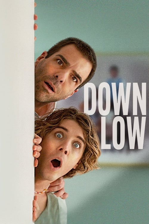 Down Low - Cover