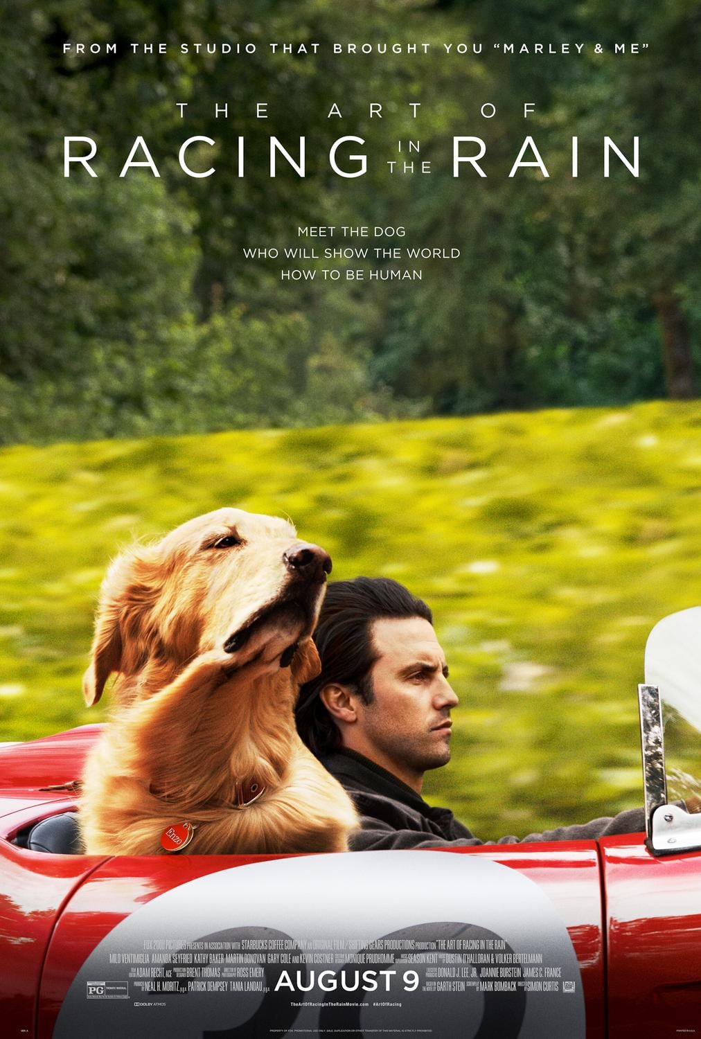 The Art of Racing in the Rain - Cover