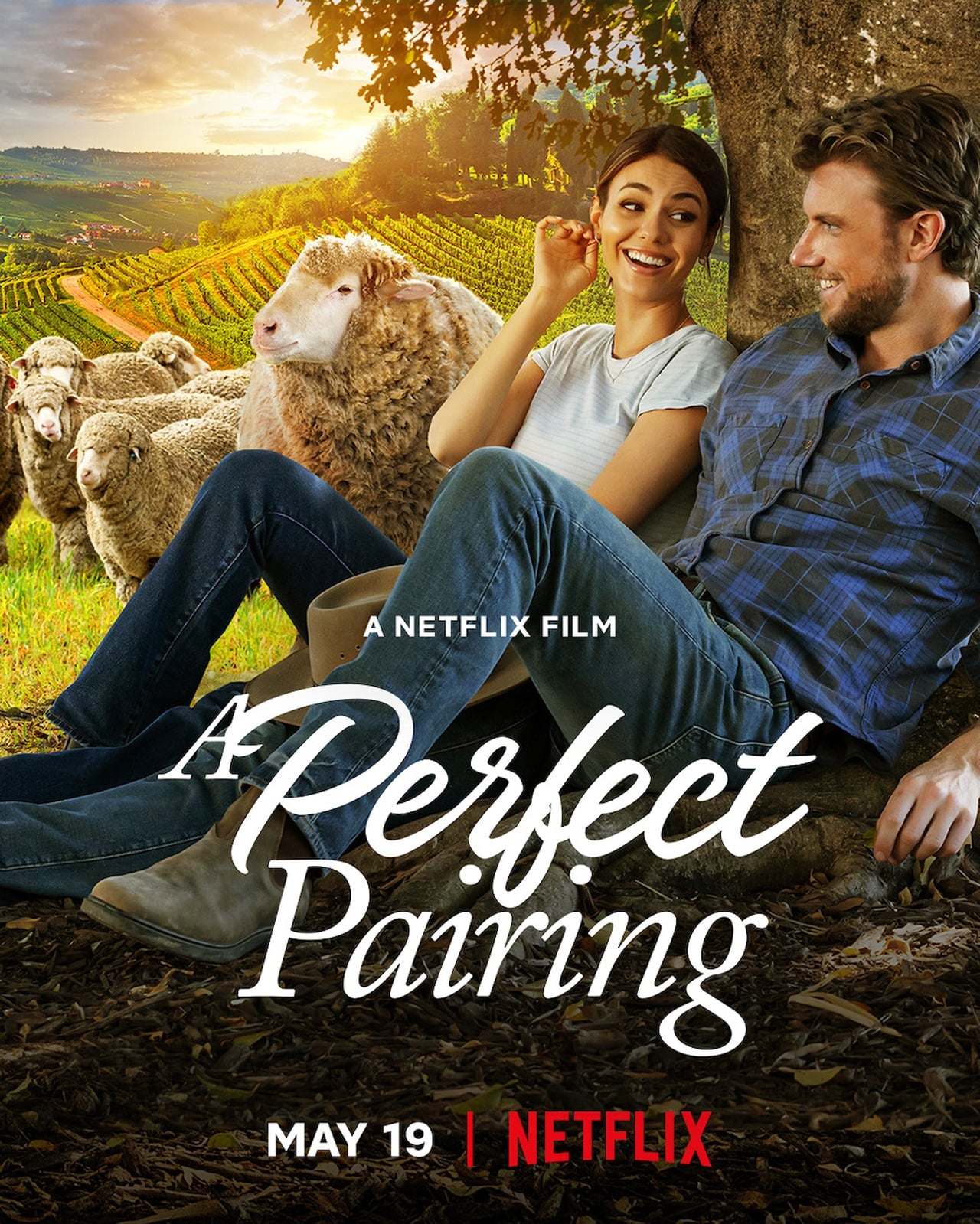 A Perfect Pairing - Cover