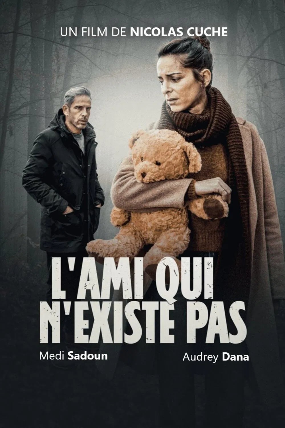 L'Ami qui n'existe pas - Cover
