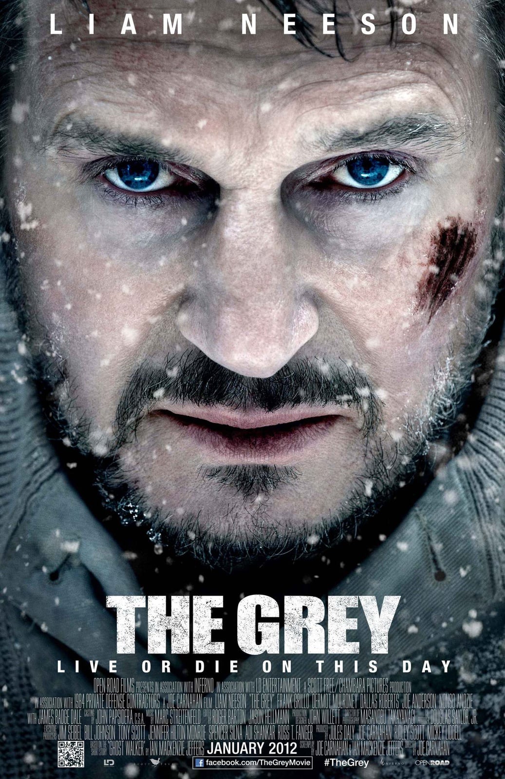 The Grey - Cover