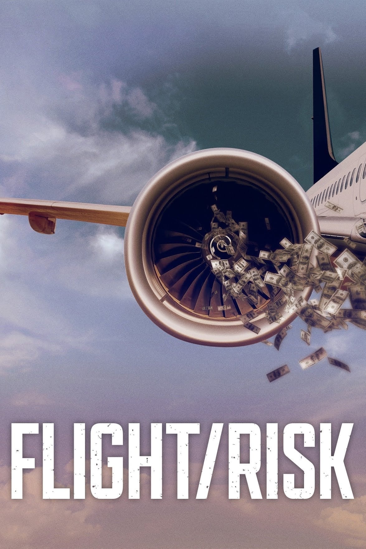 Flight/Risk - Cover