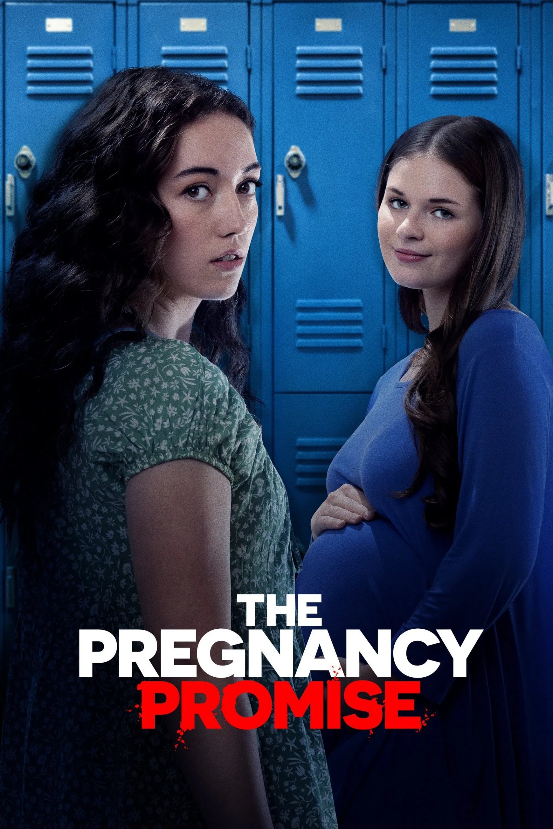 The Pregnancy Promise - Cover