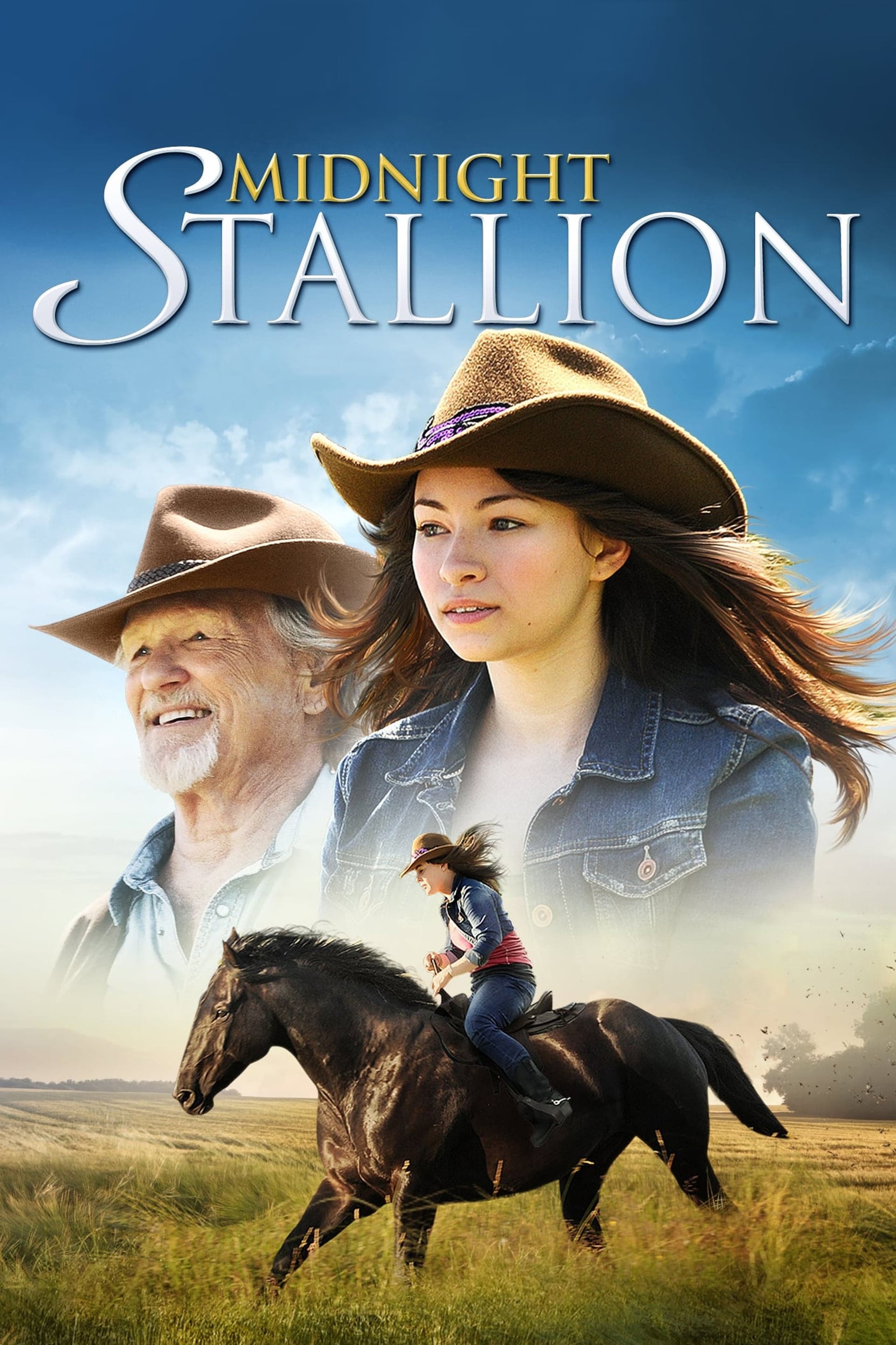 Midnight Stallion - Cover