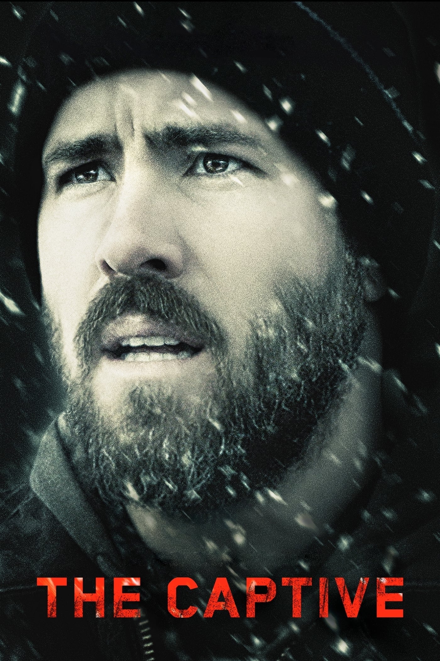 The Captive - Cover