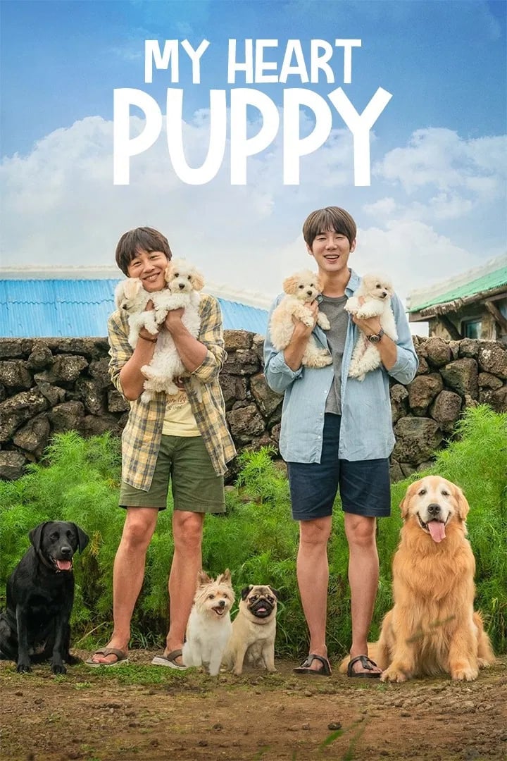 My Heart Puppy - Cover