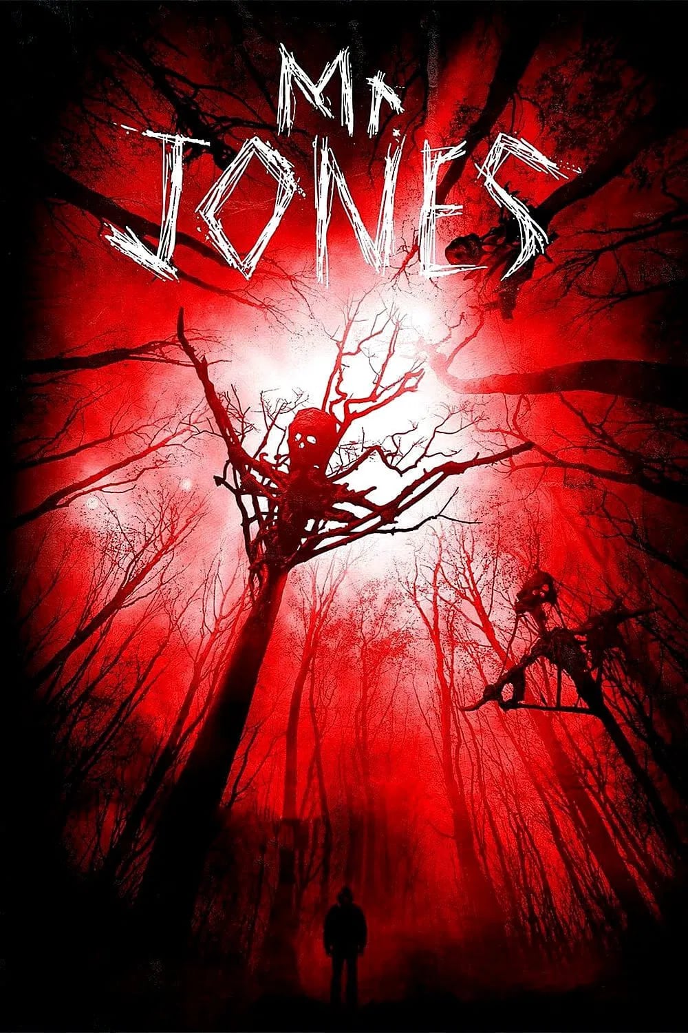 Mr. Jones - Cover