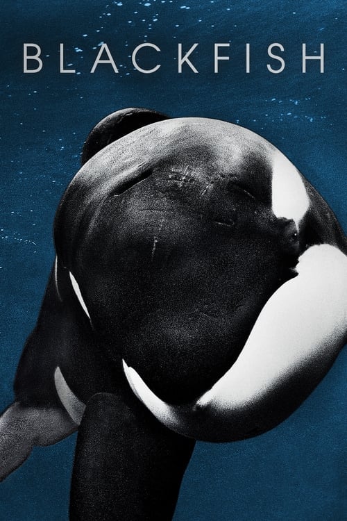Blackfish - Cover