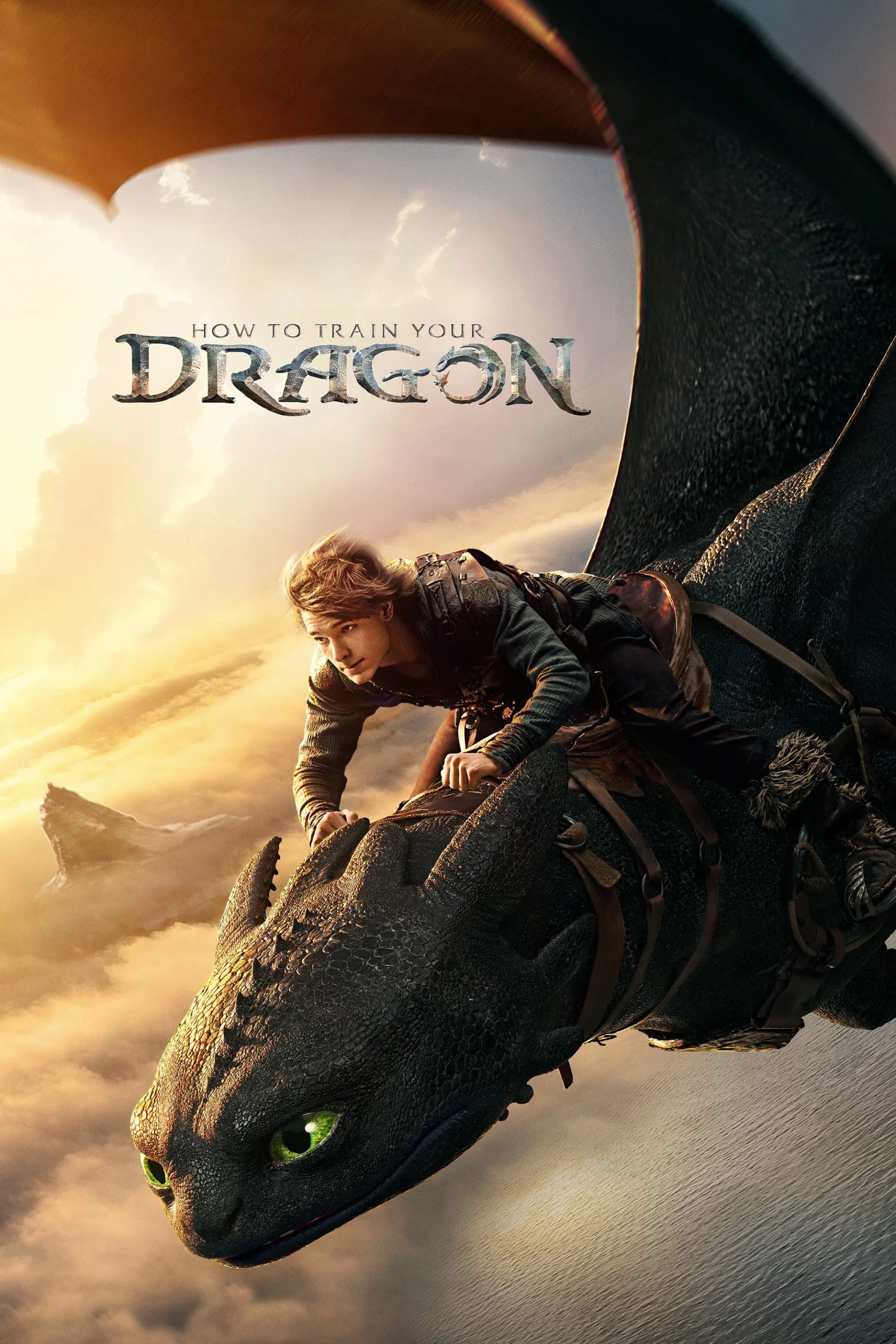 How to Train Your Dragon - Cover