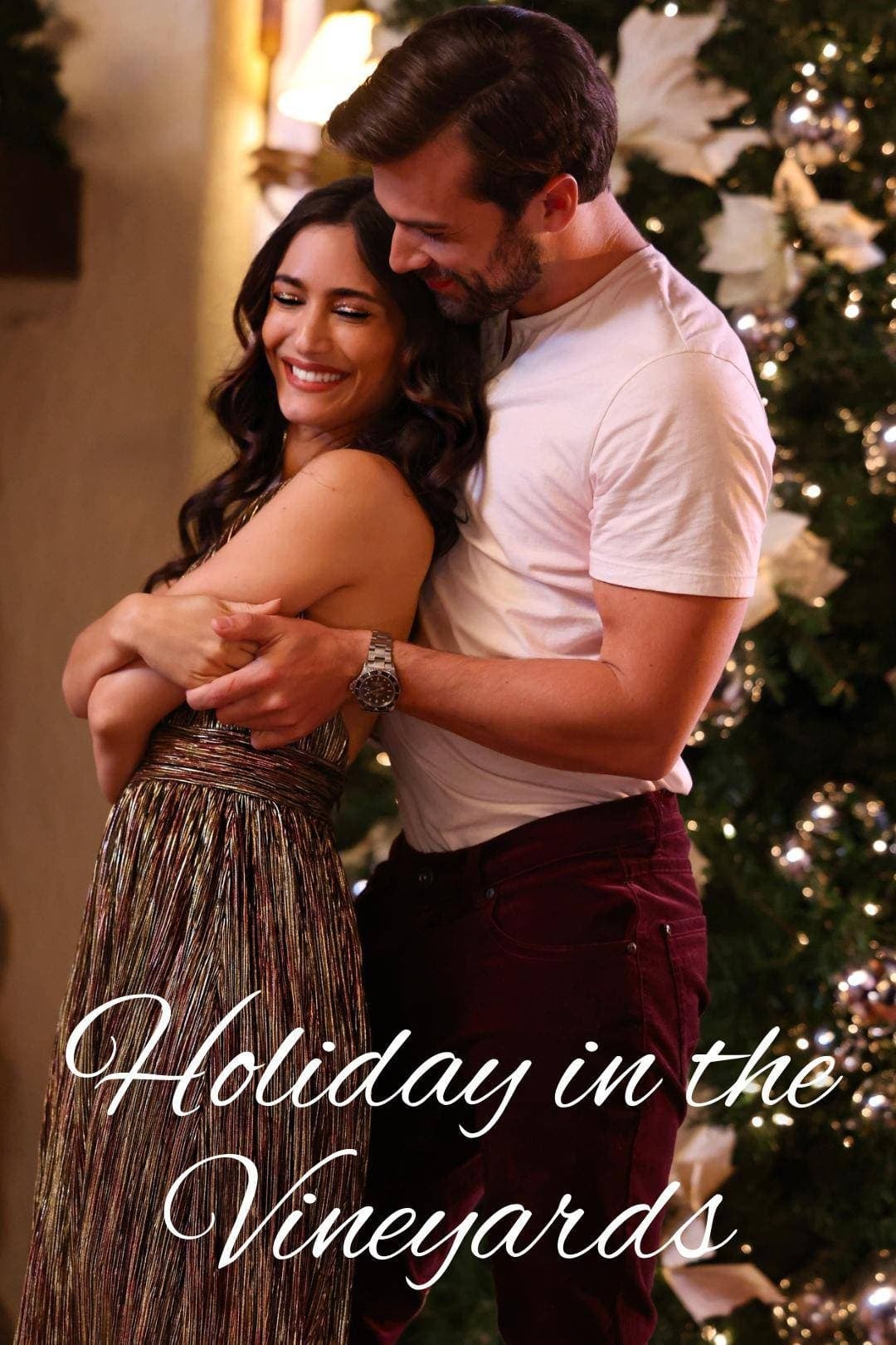 Holiday in the Vineyards - Cover
