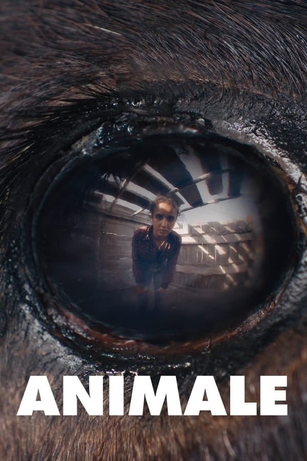 Animale - Cover