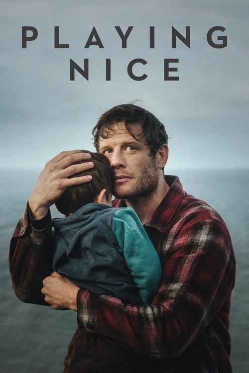 Playing Nice - Cover