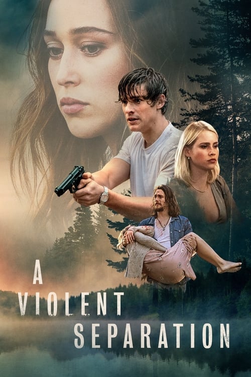 A Violent Separation - Cover