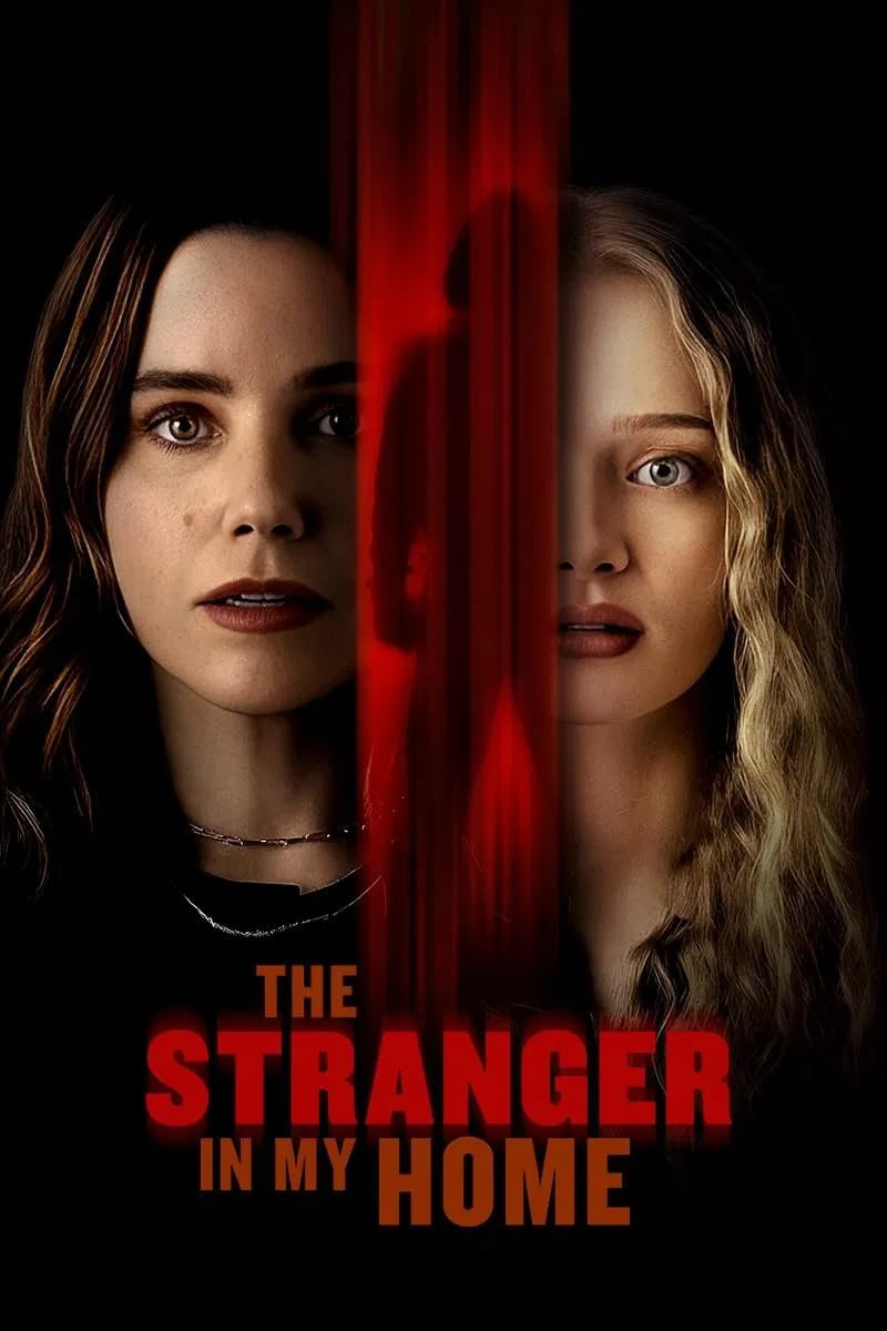 The Stranger in My Home - Cover