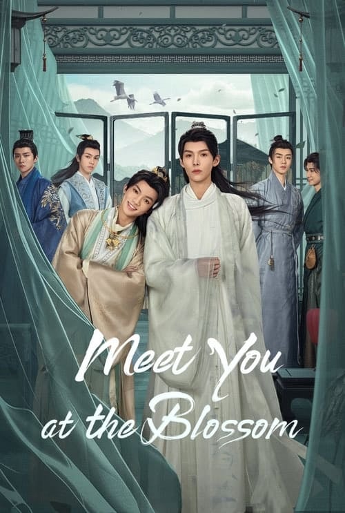 Meet You at the Blossom - Cover