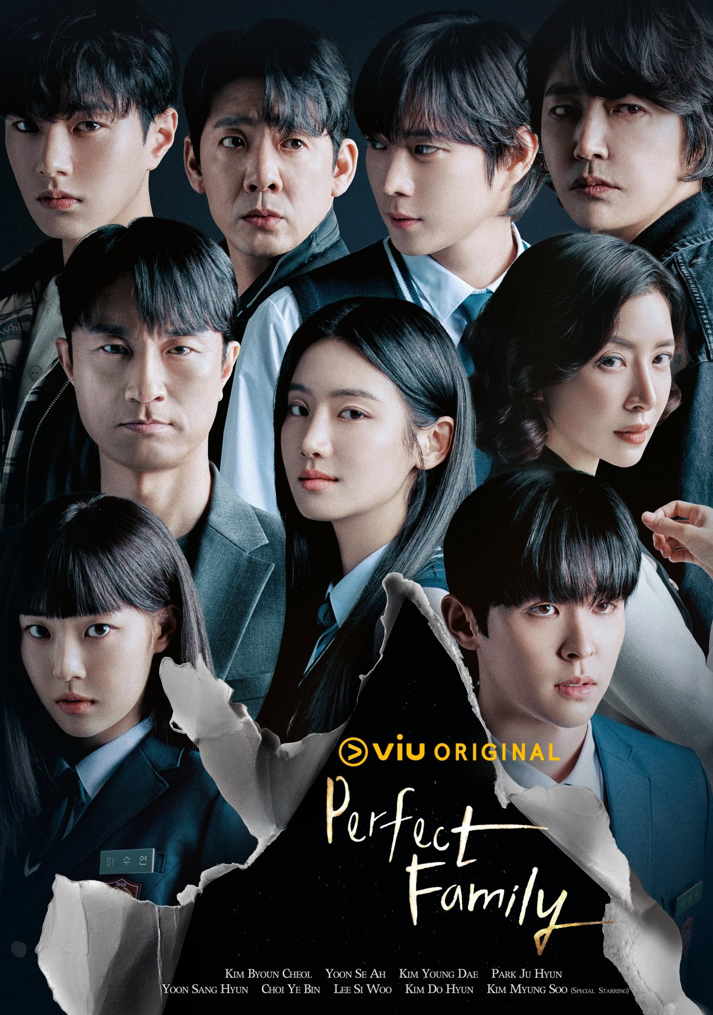 Perfect Family - Cover