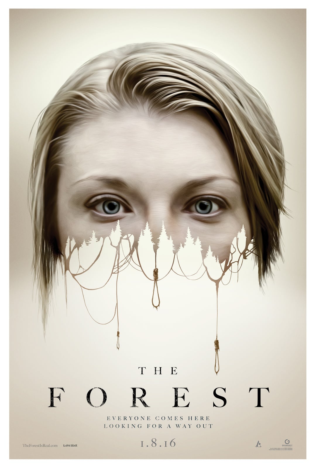 The Forest - Cover