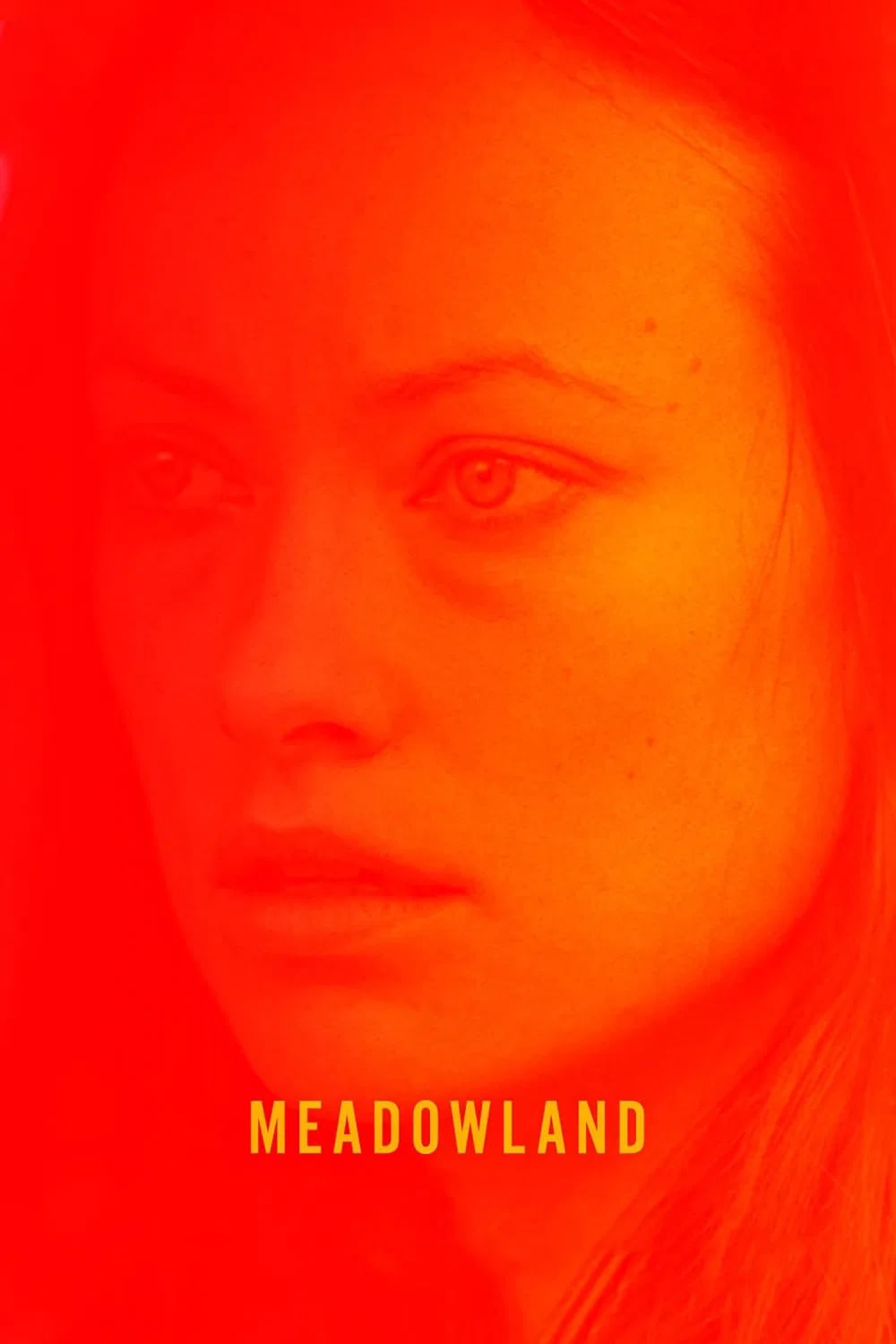 Meadowland - Cover