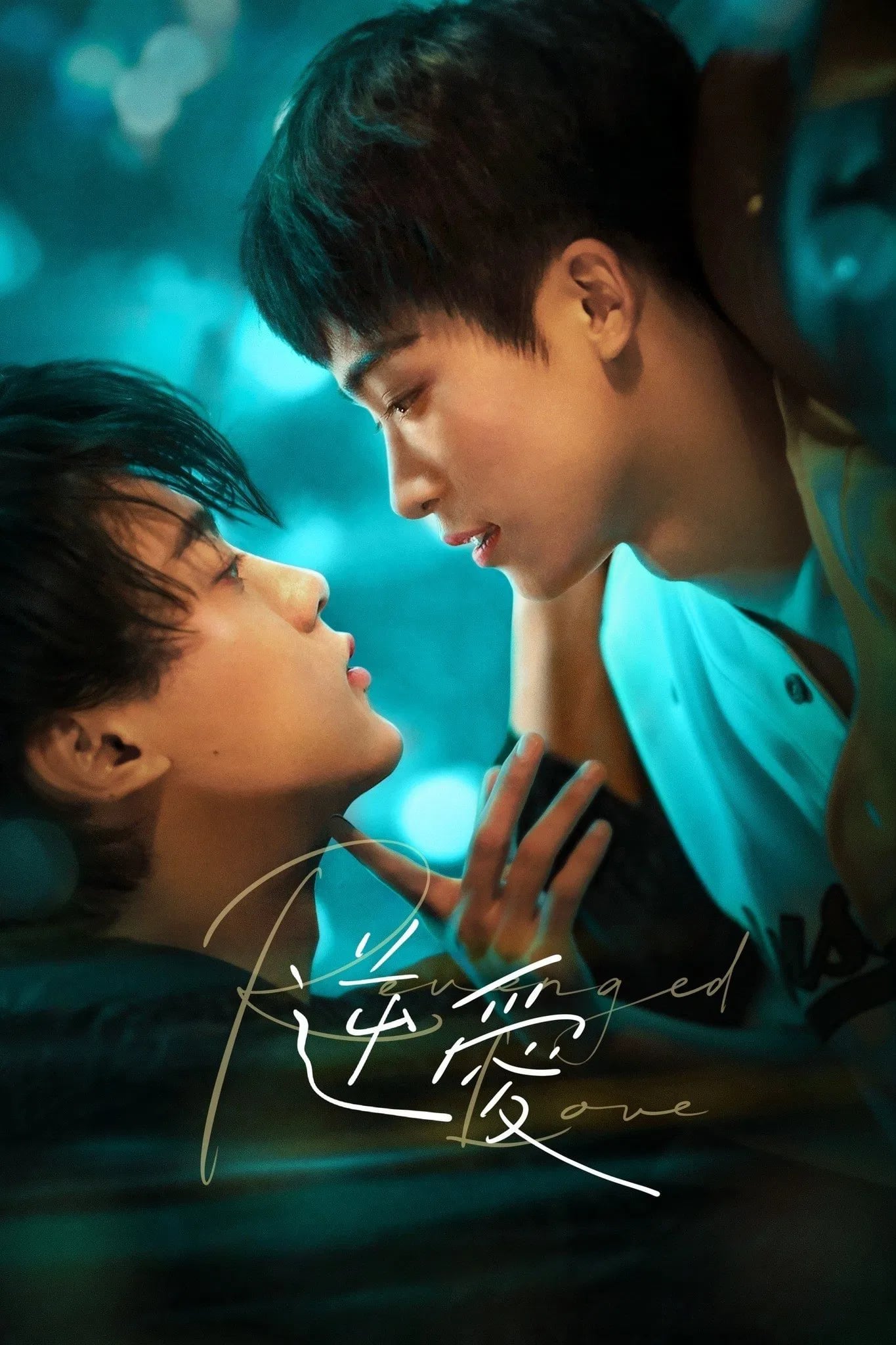 Revenged Love - Cover