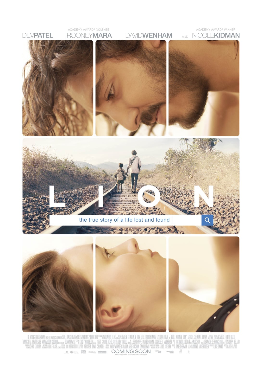 Lion - Cover