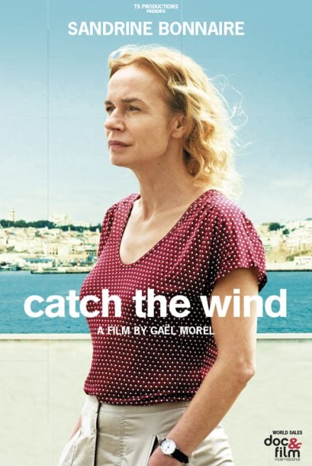 Catch the Wind - Cover