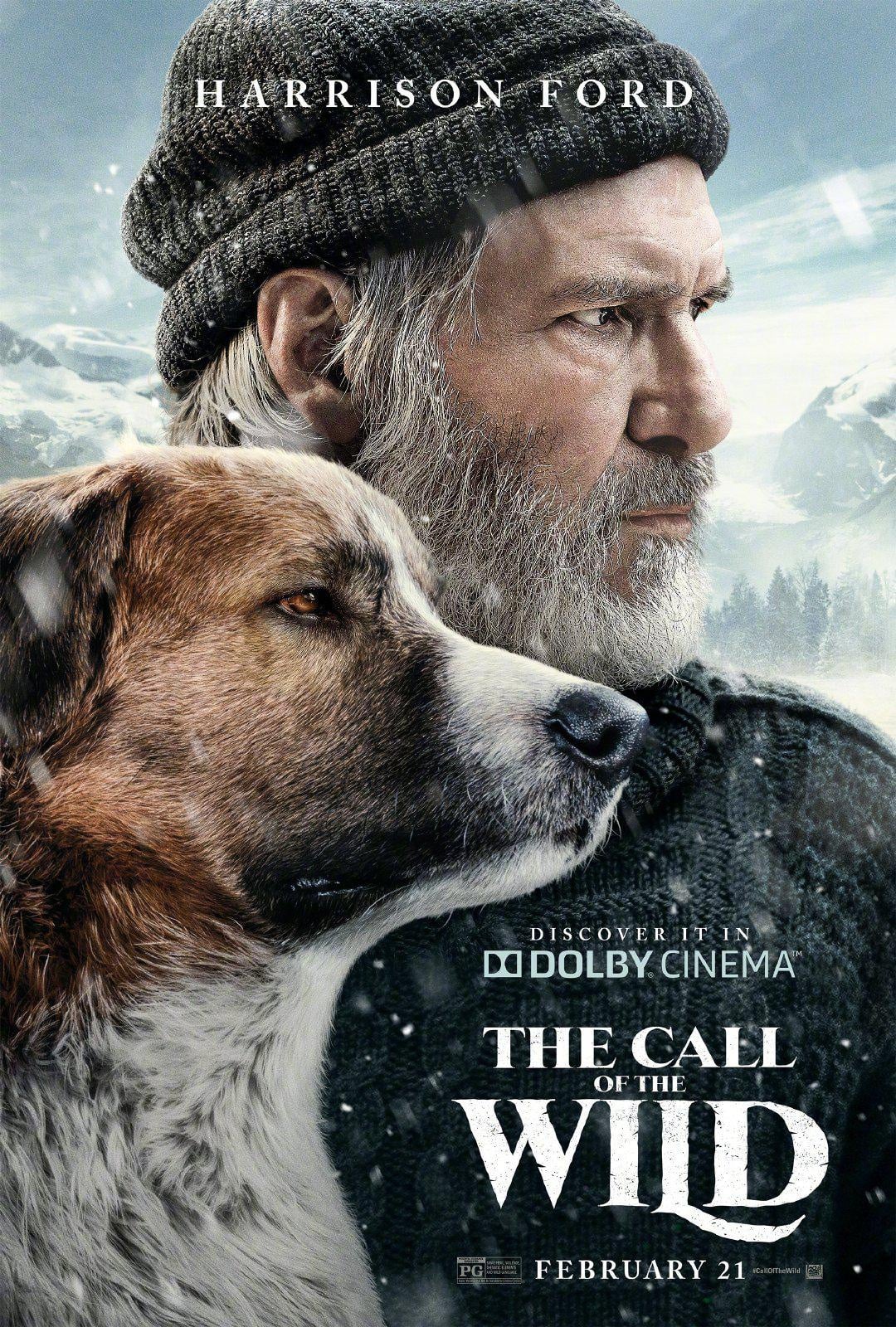 The Call of the Wild - Cover