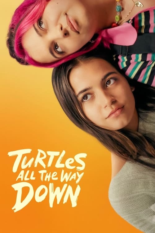 Turtles All the Way Down - Cover