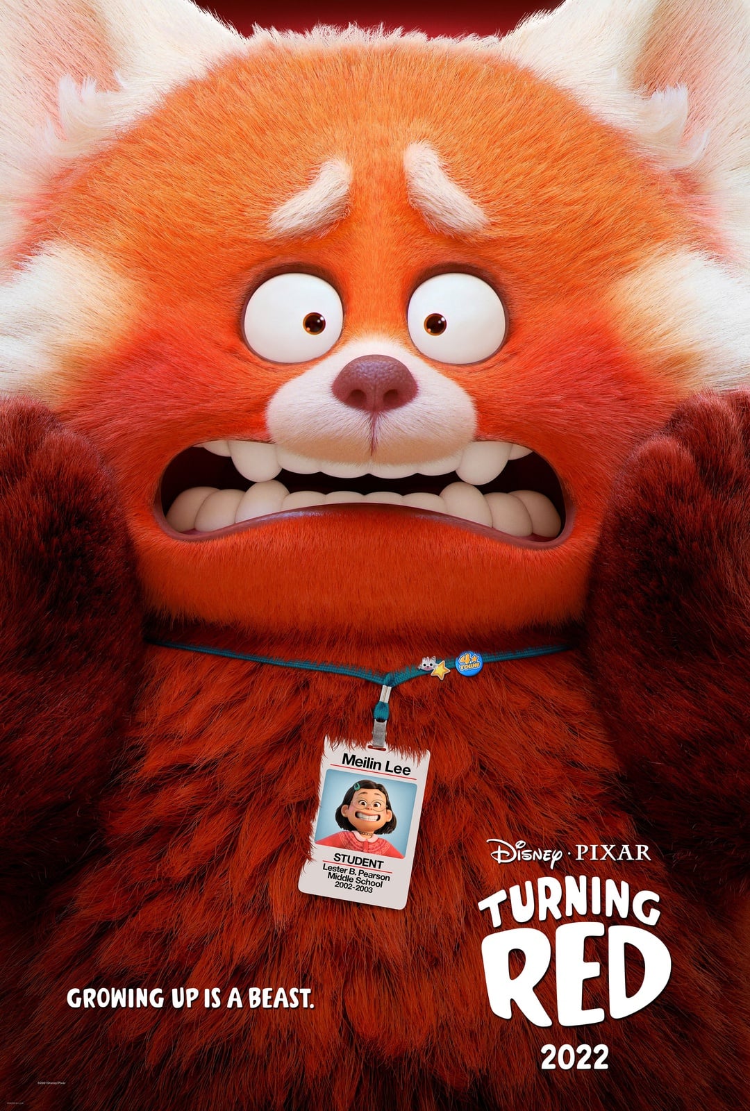 Turning Red - Cover