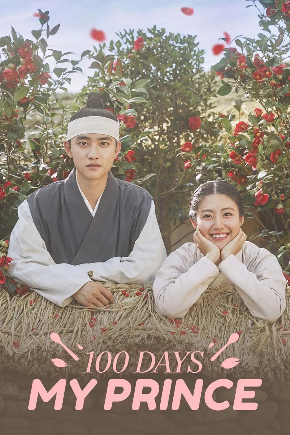 100 Days My Prince - Cover