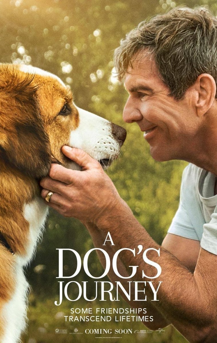 A Dog's Journey - Cover