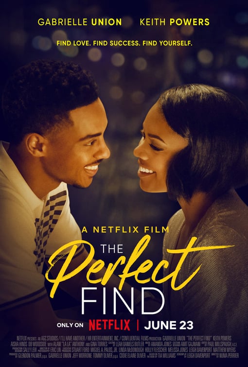 The Perfect Find - Cover