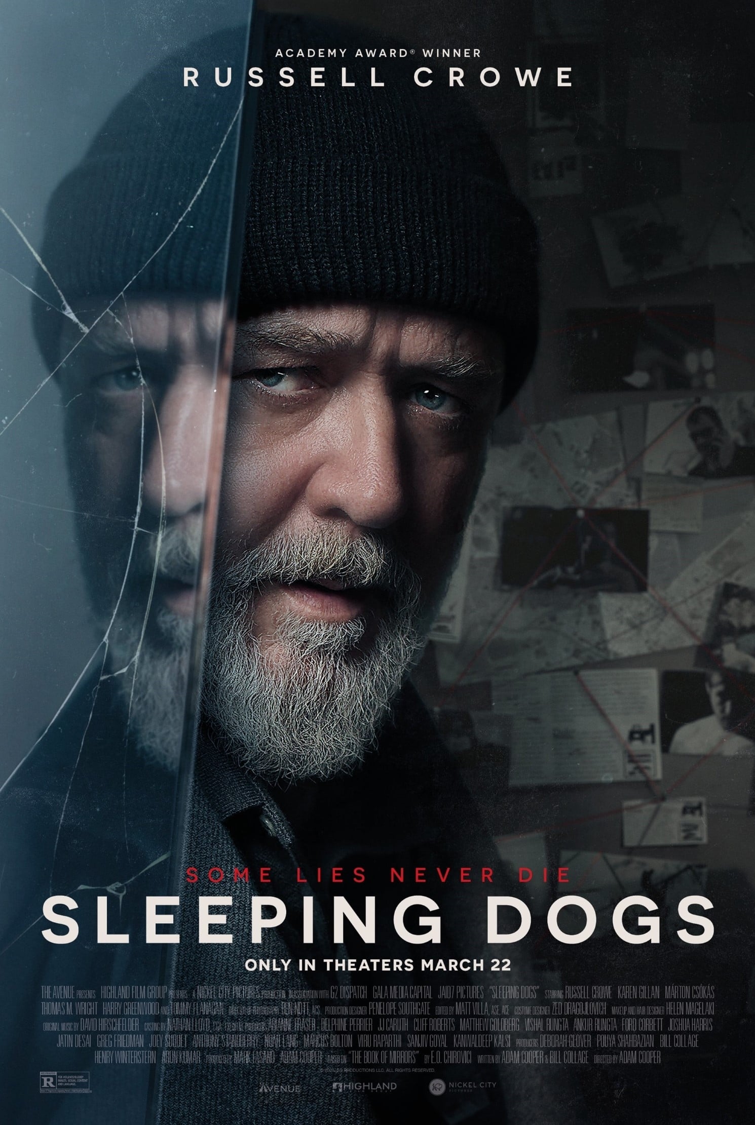 Sleeping Dogs - Cover