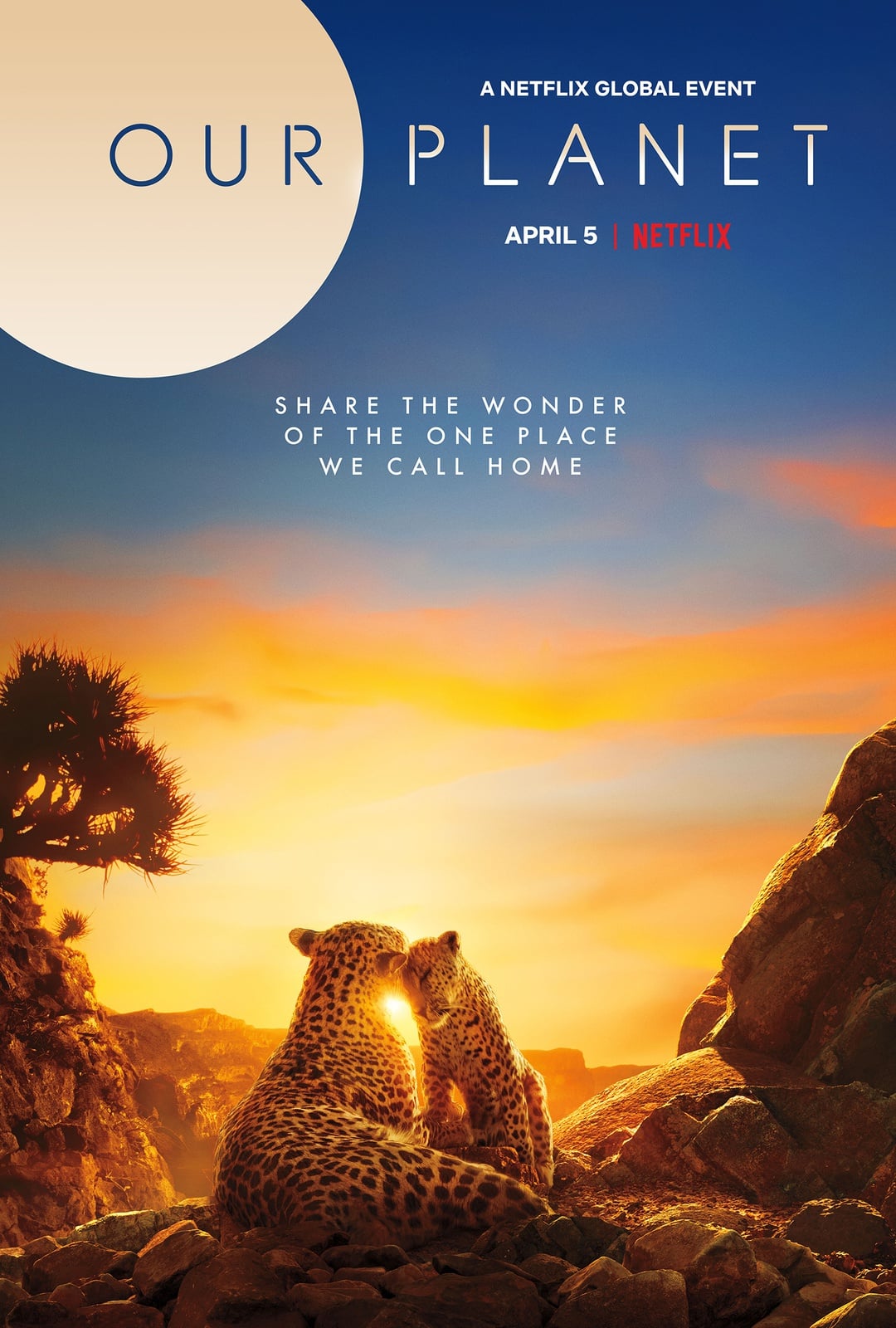 Our Planet - Cover