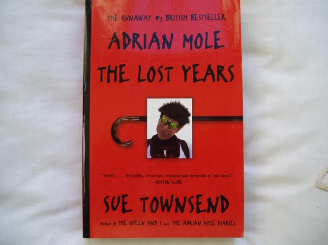 Adrian Mole, the Lost Years