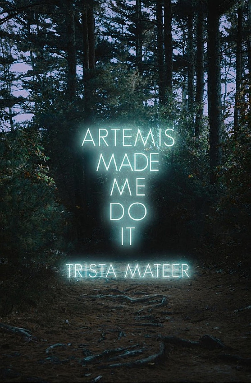 Artemis Made Me Do It