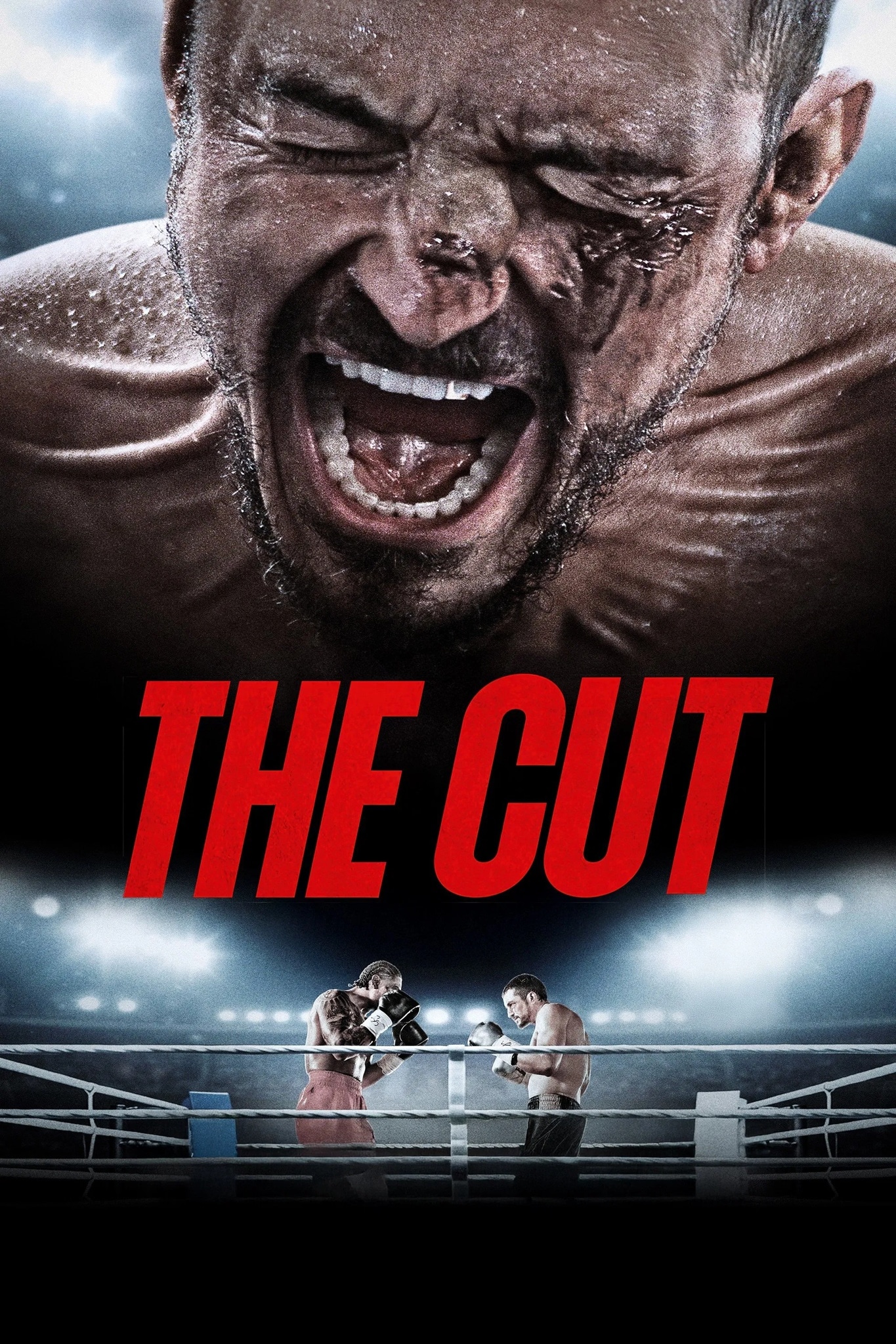 The Cut