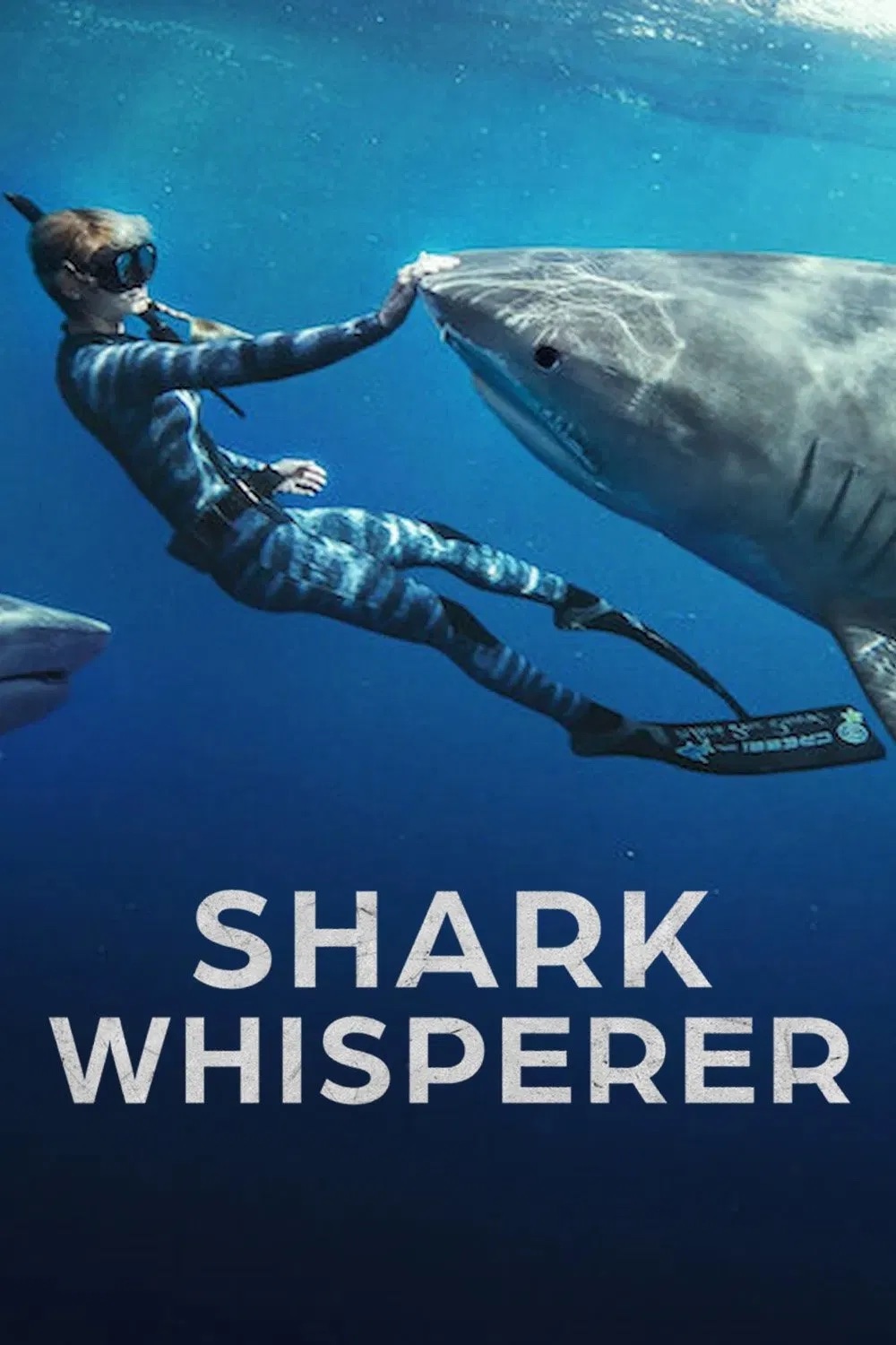 Shark Whisperer