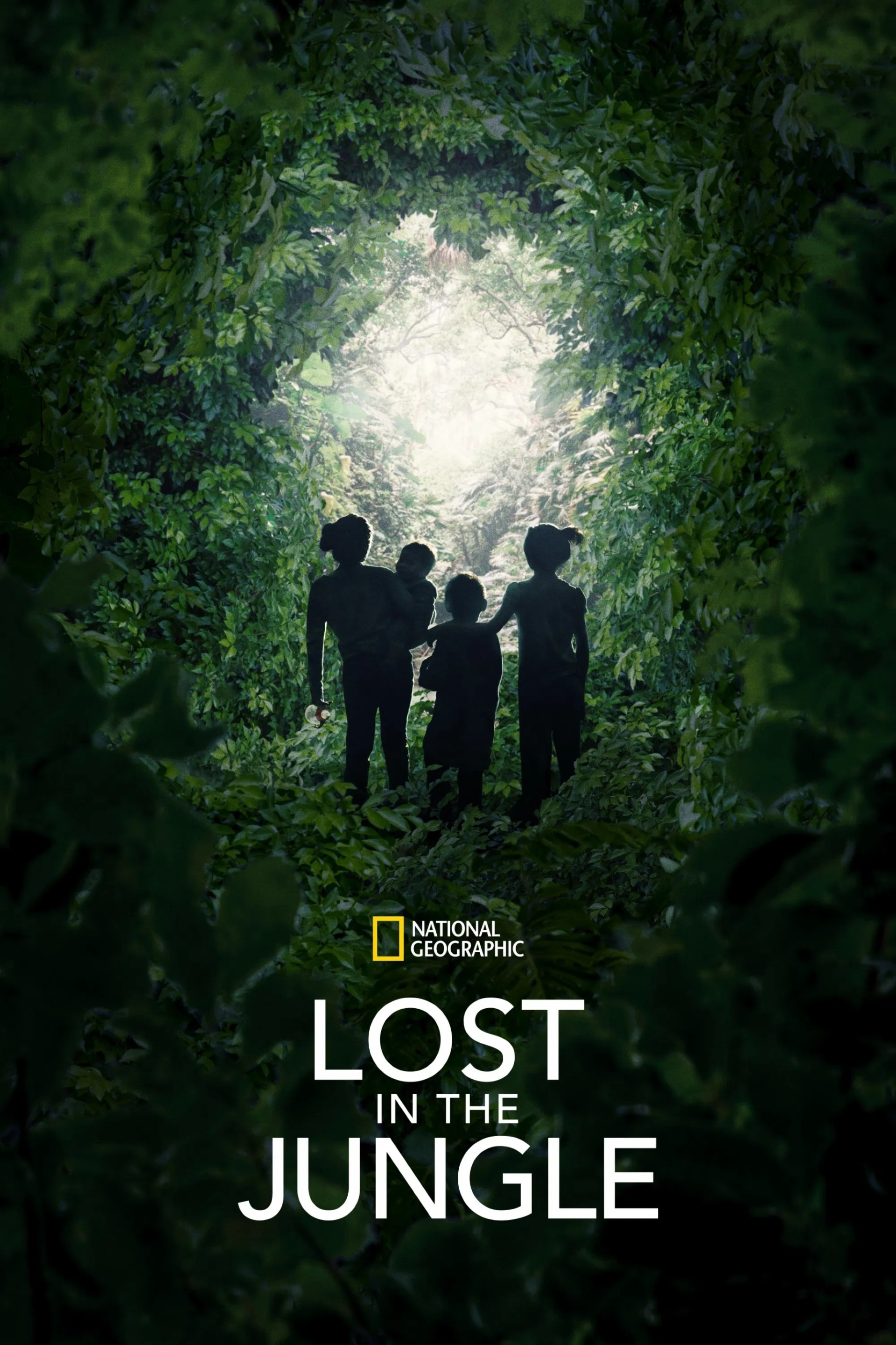 Lost in the Jungle