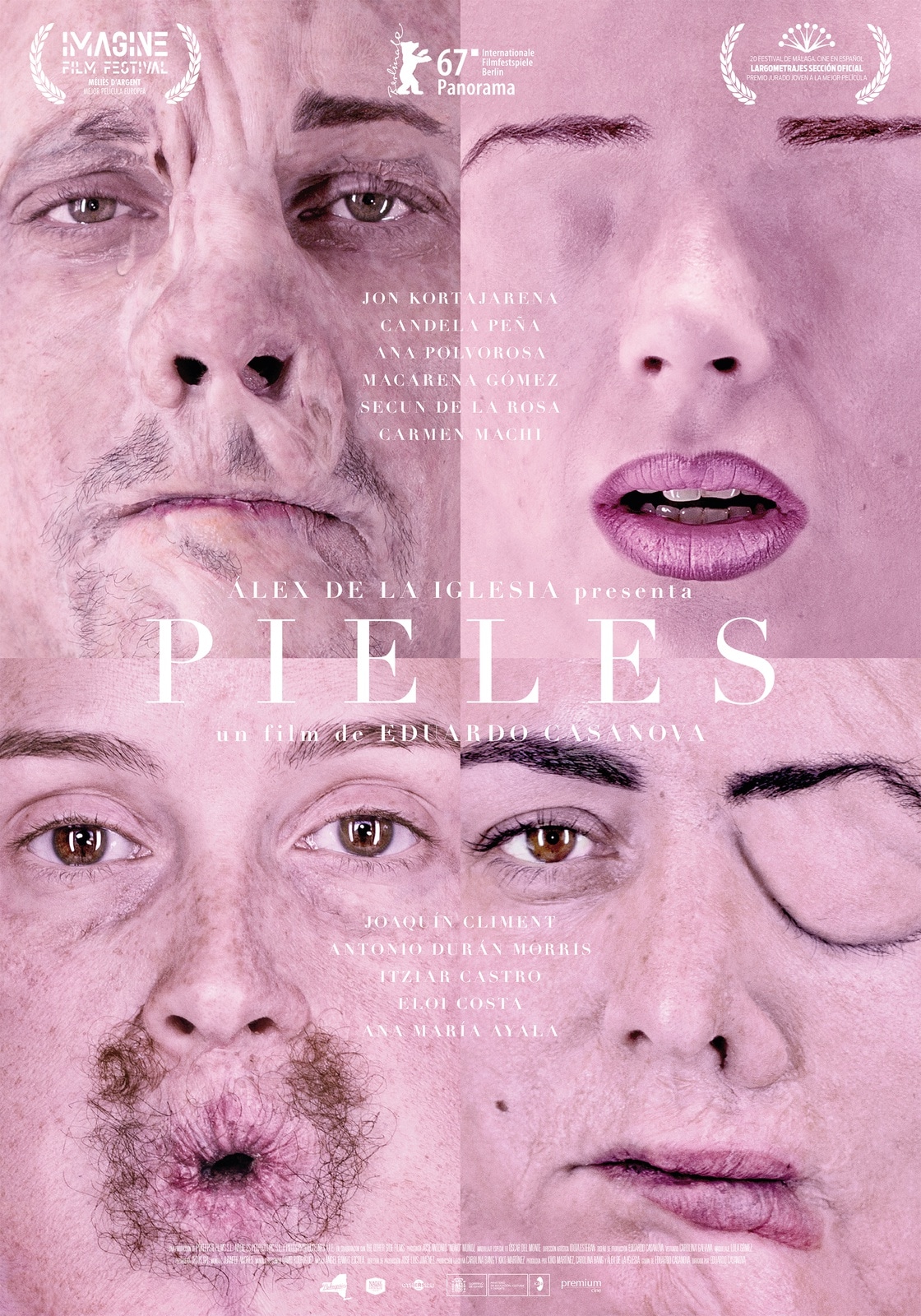 Skins