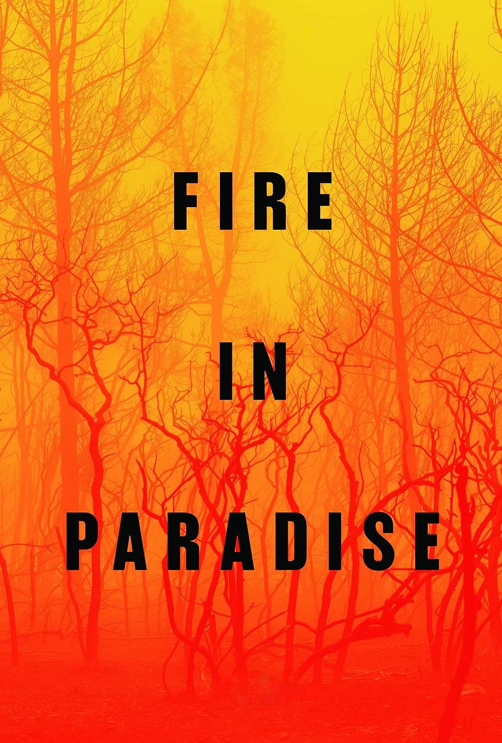 Fire in Paradise - Cover